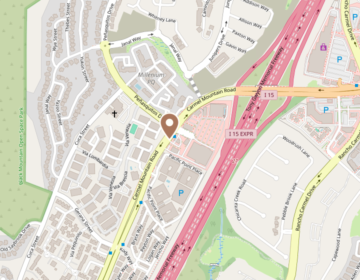 Map showing My Nail Bestie at 11075 Carmel Mountain Rd, off I-15 in Carmel Mountain Ranch
